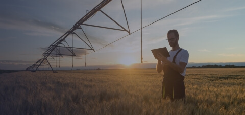 Agritech Software Development - Lemberg Solutions - Page Banner - Large.jpg